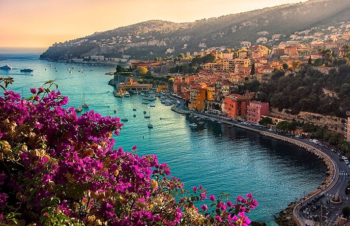 Bougainvillea and LA view